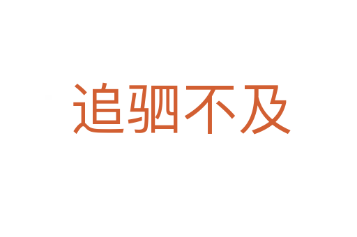 追驷不及