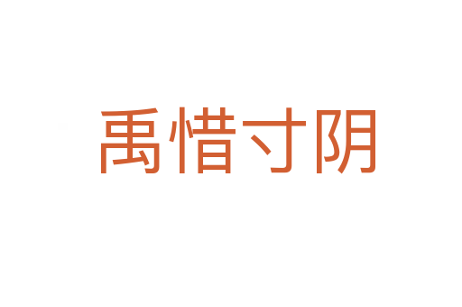 禹惜寸阴