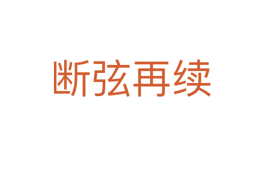 断弦再续