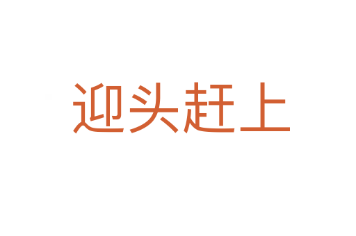 迎头赶上
