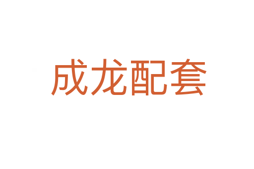 成龙配套