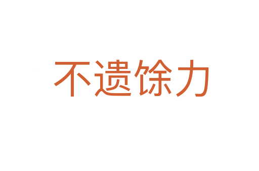 不遗馀力