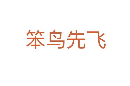笨鸟先飞