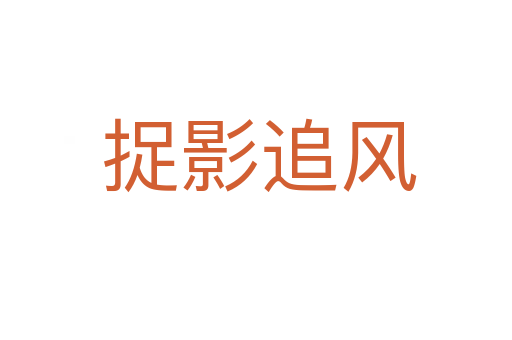 捉影追风