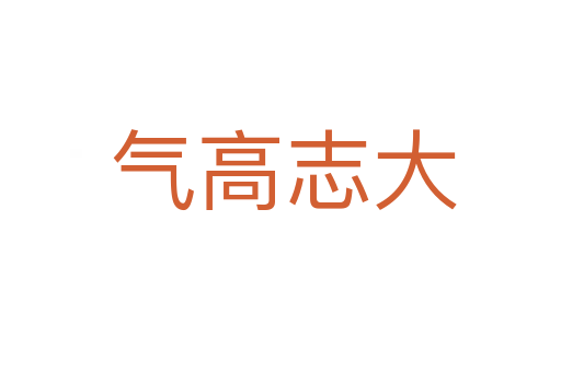 气高志大