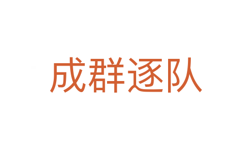 成群逐队