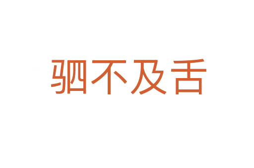 驷不及舌