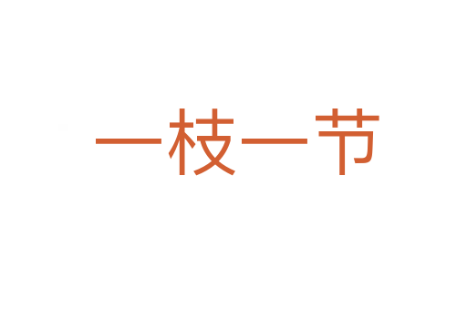 一枝一节