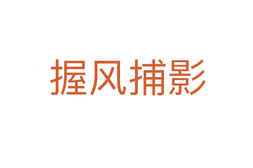 握风捕影
