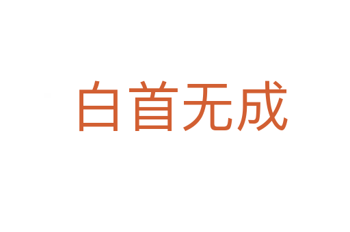 白首无成