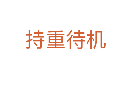 持重待机