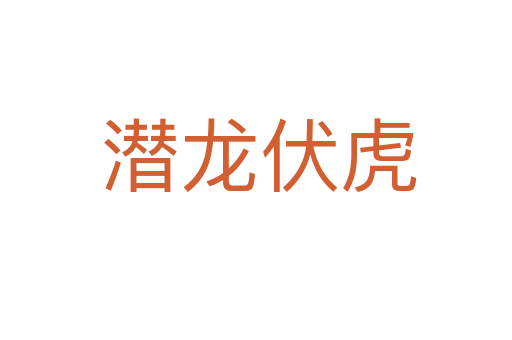 潜龙伏虎