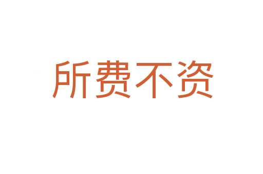 所费不资