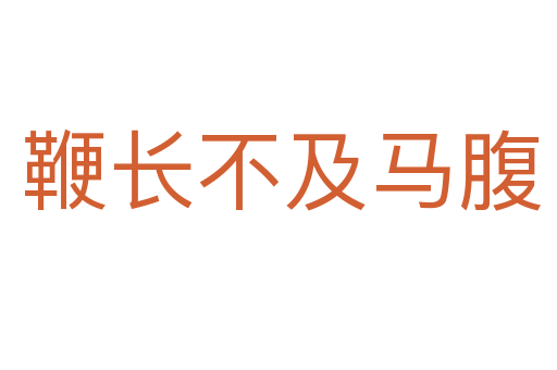 鞭长不及马腹