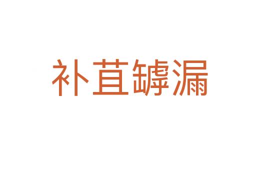 补苴罅漏