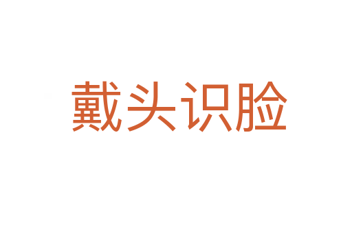 戴头识脸