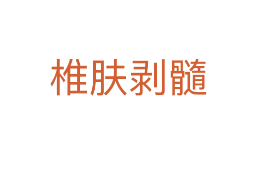 椎肤剥髓