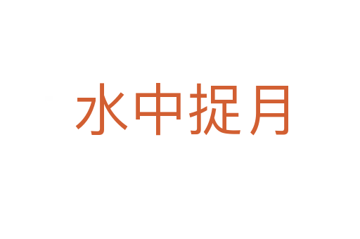 水中捉月