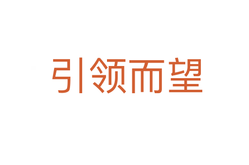 引领而望