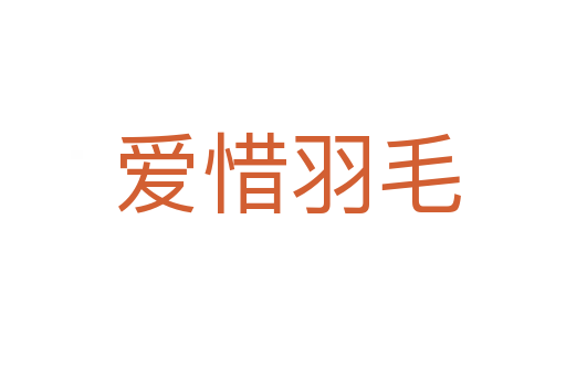 爱惜羽毛