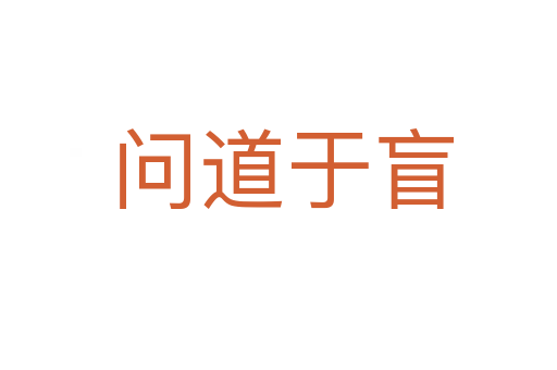 问道于盲