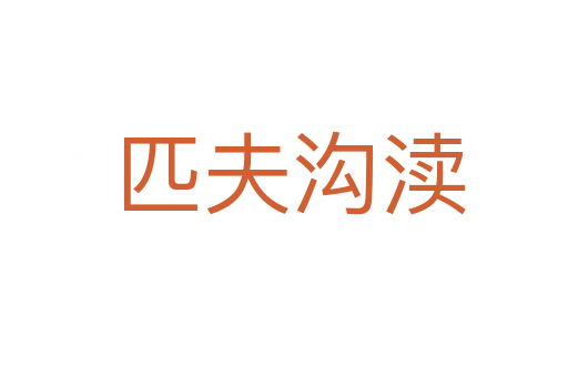 匹夫沟渎