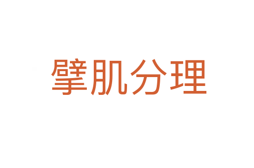 擘肌分理