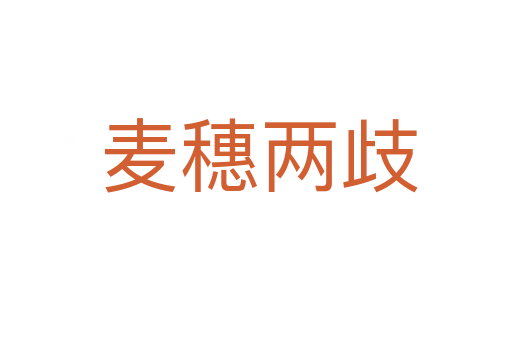 麦穗两歧