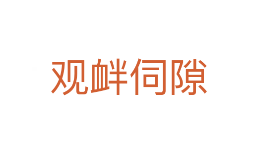 观衅伺隙
