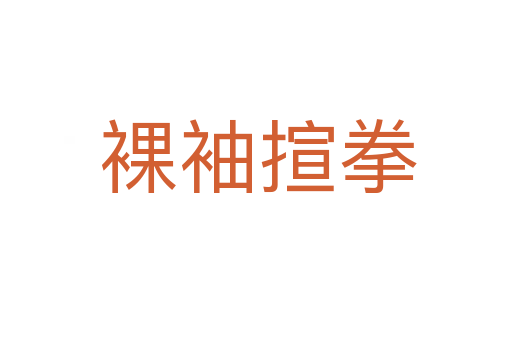 裸袖揎拳