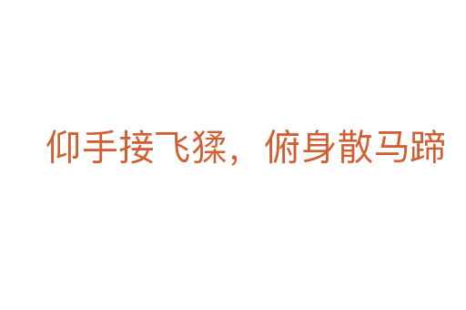 仰手接飞猱,俯身散马蹄