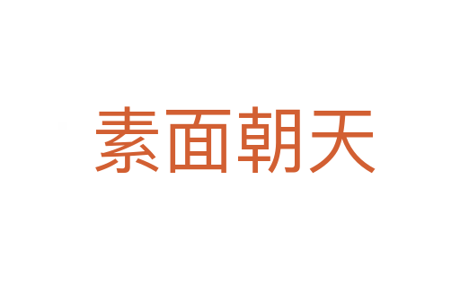 素面朝天