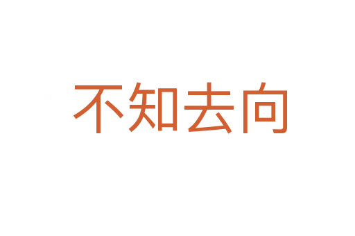 不知去向