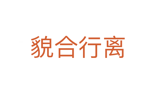 貌合行离