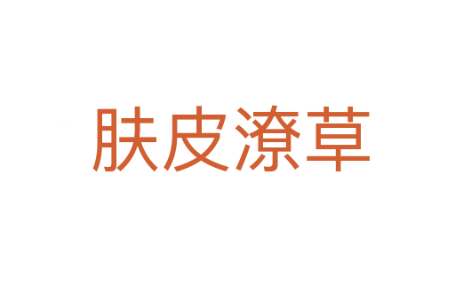 肤皮潦草