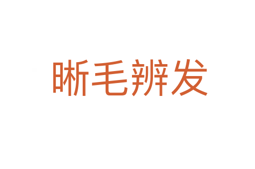 晰毛辨发