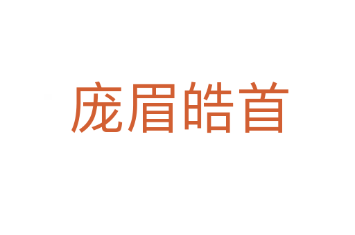 庞眉皓首