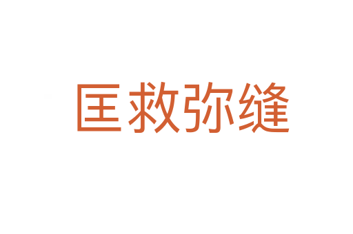 匡救弥缝