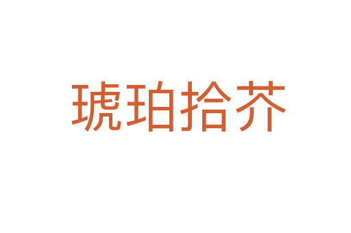 琥珀拾芥