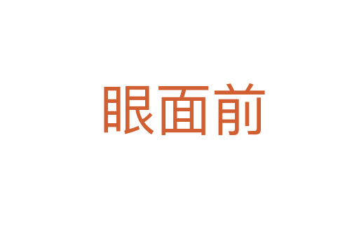 眼面前