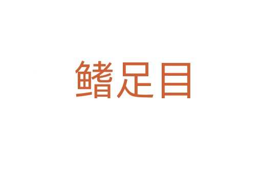 鳍足目