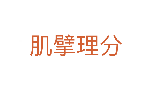 肌擘理分