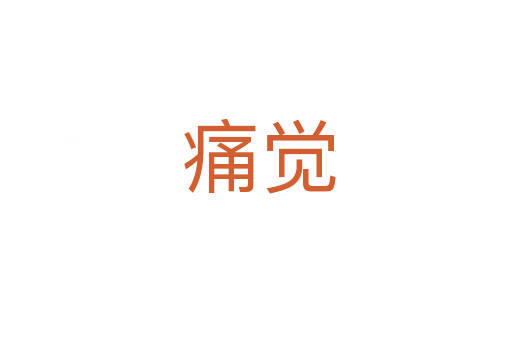 痛觉