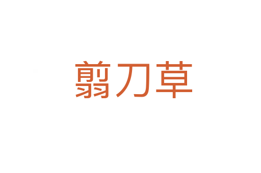 翦刀草