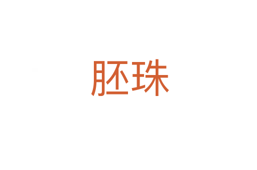 胚珠