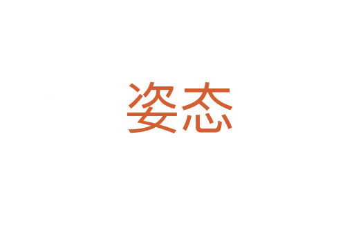 姿态
