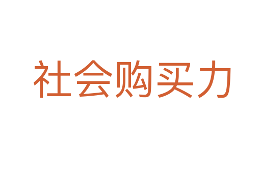 社会购买力