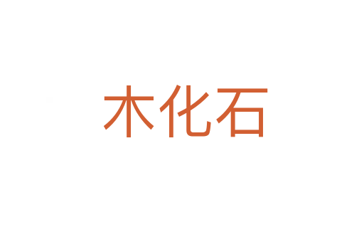 木化石