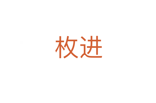 枚进