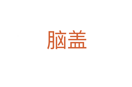 脑盖